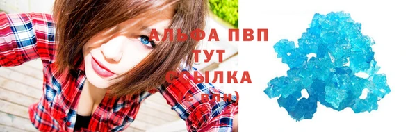 индика Армянск