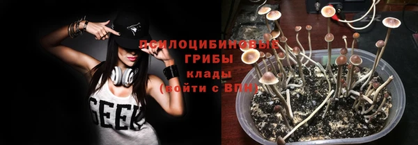 индика Армянск