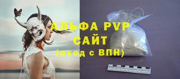 СК Аркадак