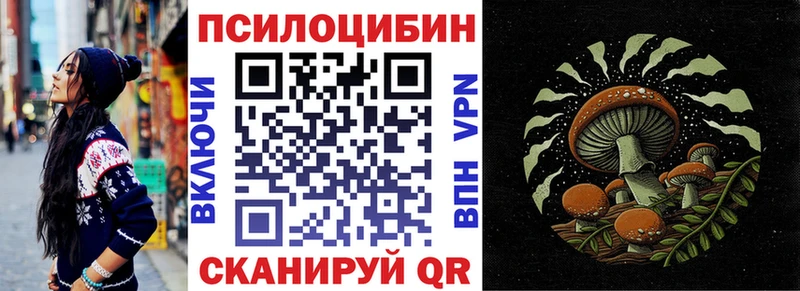 Галлюциногенные грибы Psilocybine cubensis  Купить  Троицк 